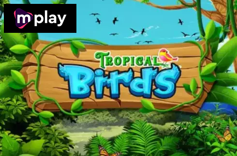 Tropical Birds